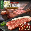 【ふるさと納税】熊本県産 あか牛 「-延寿牛-」 サーロイン ステーキ 約300g