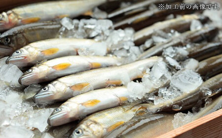 清流長良川 天然鮎 一夜干し 手作り 香魚 冷凍 岐阜市/結の舟 [ANBN002]