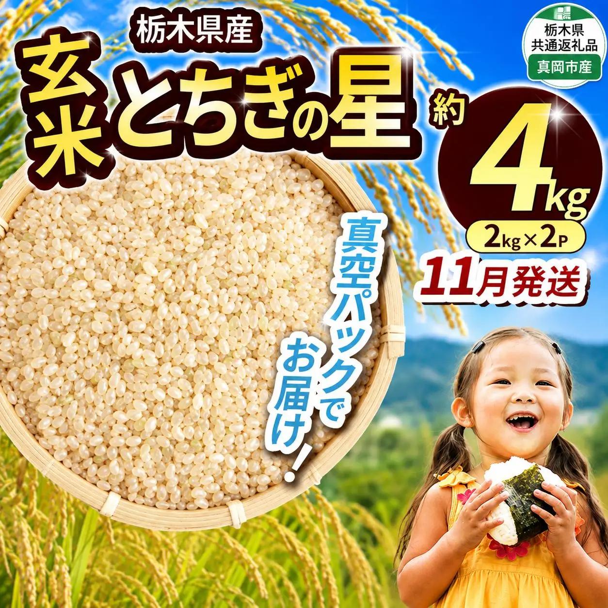 【栃木県共通返礼品】【先行予約】【11月発送分】令和8年度新米 栃木県産とちぎの星（玄米真空パック) 約2kg×2  |  栃木県 那珂川町 送料無料