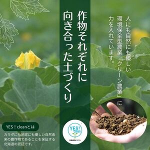 【NHKあさイチで紹介されました！】上田ファームのかぼちゃ団子（プレーン）300g×3 北海道産かぼちゃ使用 カボチャ だんご 国産 手作り おかず おやつ スイーツ 軽食 冷凍 南瓜 郷土料理 北海