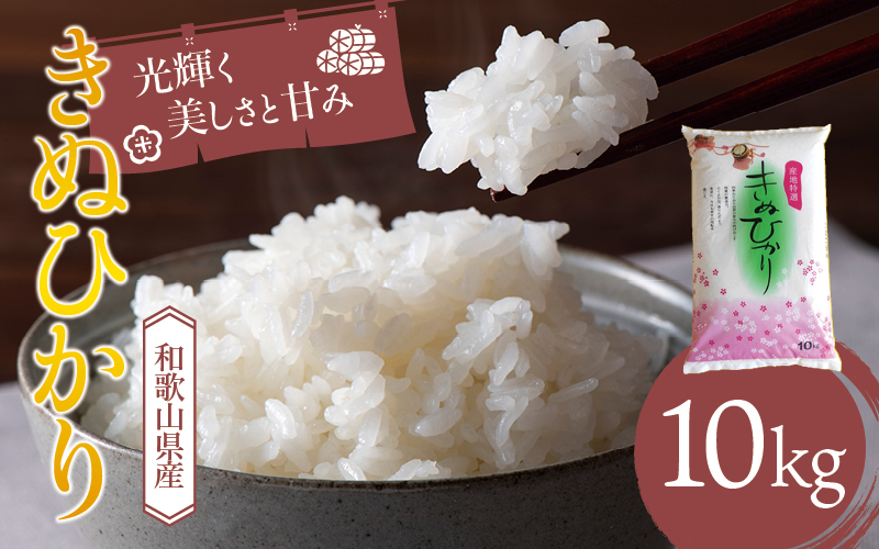 
和歌山県産 キヌヒカリ 10kg(2024年産) 産地直送 米 こめ ご飯 ごはん 【sml100B】
