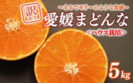 【まどんな】 訳あり まどんな 5kg 前田ファーム