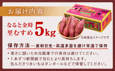 なると金時（里むすめ）5kg さつまいも 鳴門金時 箱入り サツマイモ 野菜 人気 ホクホク さつまいも 野菜 鳴門金時 なると金時 さつまいも 野菜 鳴門金時 さつまいも 野菜 里むすめ さつまいも
