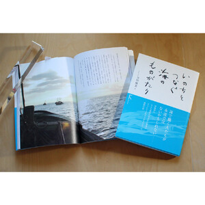 人気の絵本☆『このよでいちばんおいしいさかな』と絵本グッズのセット♪