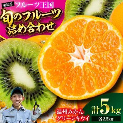 ふるさと納税 大洲市 【先行受付】【12月上旬より順次発送】温州みかん2.5kgとキウイ2.5kg[AGBC010]