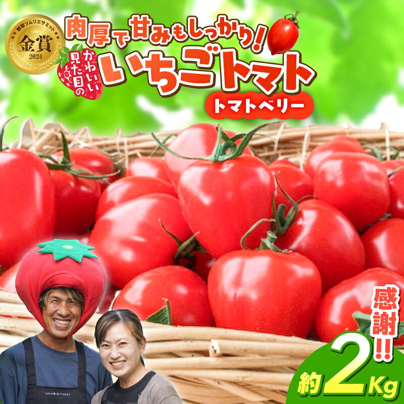 【ふるさと納税】フルーツミニトマト 約 2kg トマトベリー 産地直送 甘さ抜群 トマト苦手な方にもオススメ トマト 甘い 濃厚 幻 ミニトマト いちご型 肉厚 皮が薄い 野菜ソムリエサミット 金賞 受賞 長田農園 リコピン 野菜 やさい フルーツ サラダ 食品 お取り寄せ 送料無料