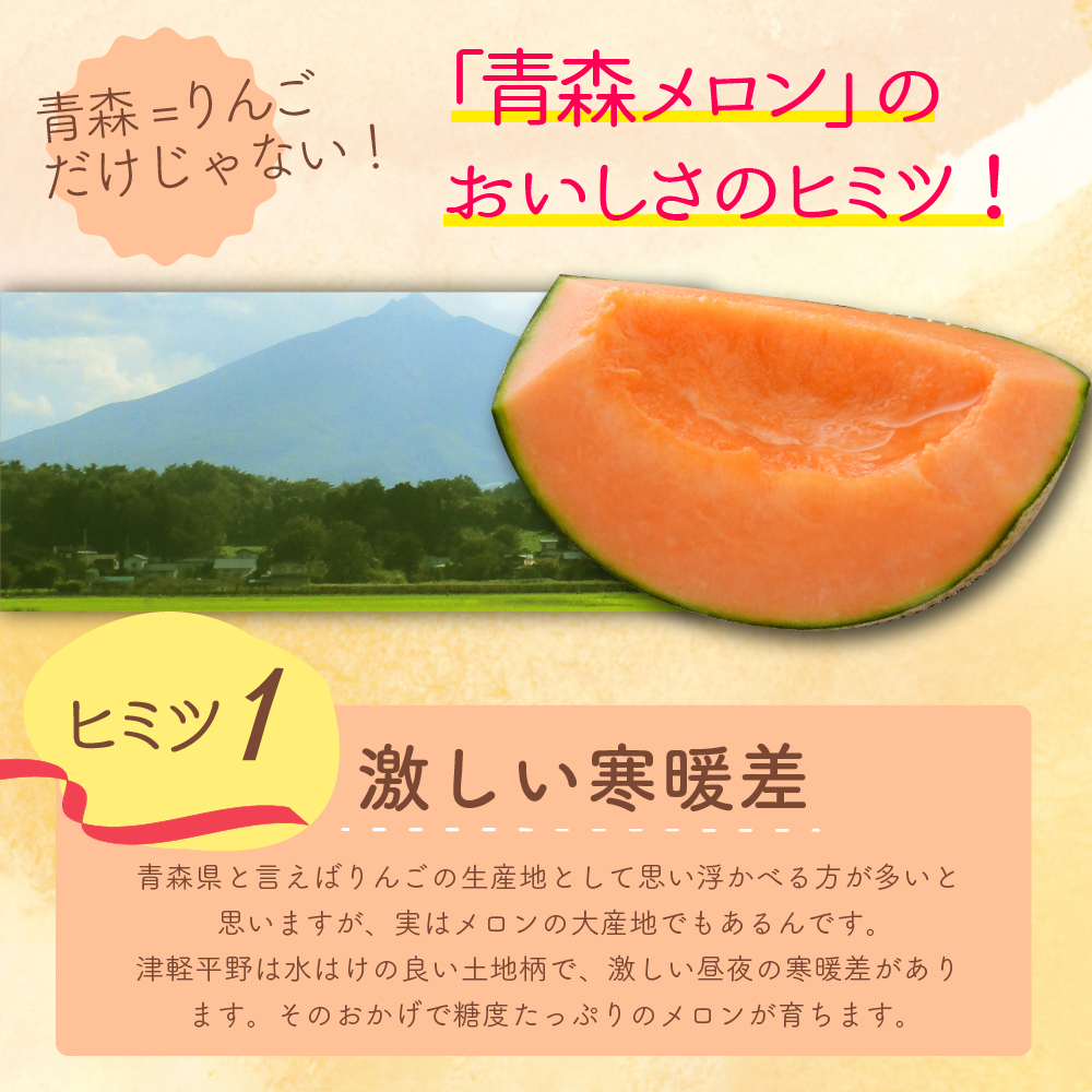 【2026年8月後半発送】【訳あり】 メロン 赤肉 2玉 (2.5kg程度) 青森県産
