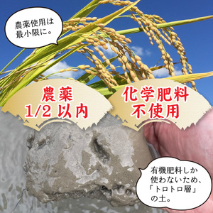 【先行予約】【6ヶ月連続お届け】【 令和8年産 新米 】減農薬・化学肥料不使用 ゆうだい21 5kg×1袋（計5kg）【2026年10月より順次発送】 | お米 定期便 ごはん 国産