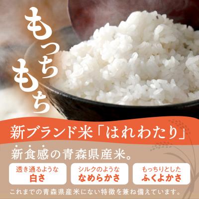 ふるさと納税 五所川原市 【定期便 隔月6回】 米 10kg はれわたり 青森県産 (精米) 定期便6回 10kg×6回 |  | 01