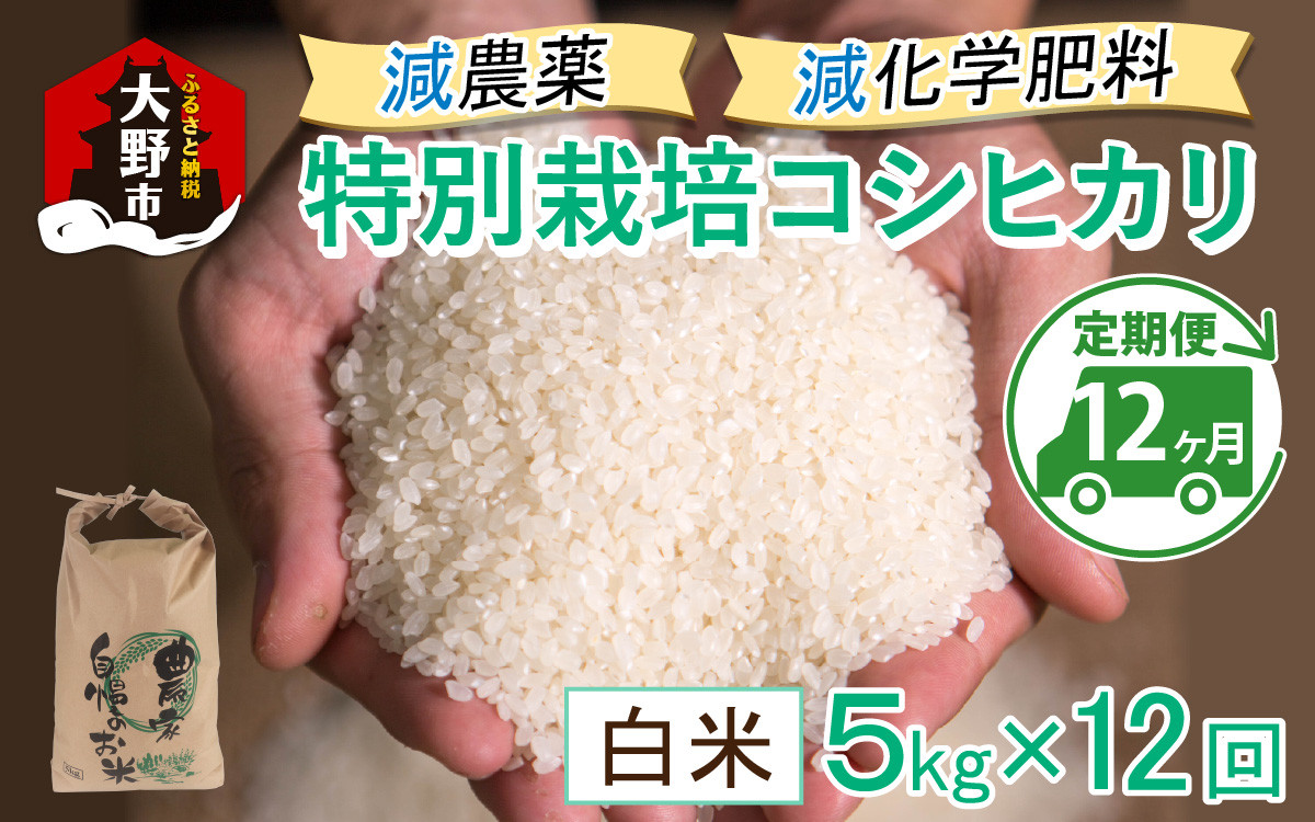 
                  【先行予約】【令和8年産 新米】【12ヶ月定期便】減農薬・減化学肥料の特別栽培コシヒカリ 白米 5kg×12回 計60kg 農家直送 福井県大野市産
                