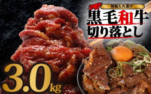 黒毛和牛 切り落とし 3kg 15パック 小分け 牛肉 牛 肉 和牛 切落し きりおとし 定期便 国産 大和牛 ブランド牛 冷凍 スライス タレ 特製タレ 漬け 秘伝 たれ 焼き肉 焼肉 牛丼 丼 大容量 BBQ バーベキュー 味付き おすすめ 人気 贈答 ギフト 奈良県 奈良市 近藤精肉店