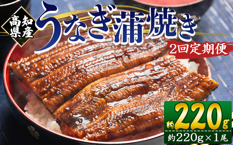 【２回定期便】高知県産養殖うなぎ蒲焼き 約220g×１尾 Wfb-0057