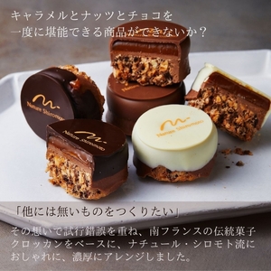 キャラメルクロッカン 5個入 焼き菓子 チョコレート チョコレート チョコレート チョコレート チョコレート チョコレート