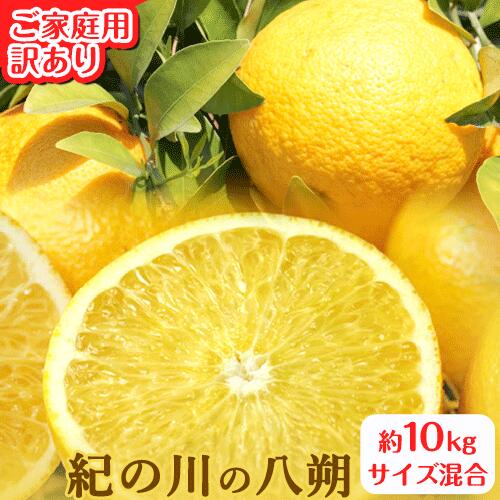【ふるさと納税】ご家庭用 訳あり 紀の川の八朔 約10kg サイズ混合 厳選 はっさく 柑橘《2026年1月上旬-3月下旬頃出荷》 紀の川市厳選館 和歌山県 紀の川市 フルーツ 果物