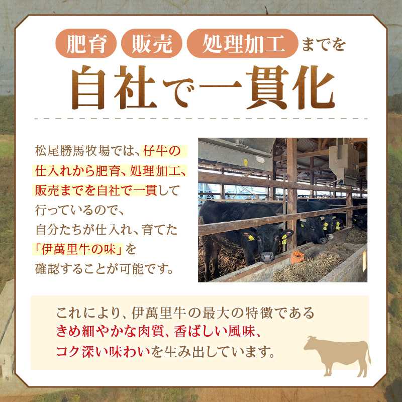 伊萬里牛100% 手作り 勝ハンバーグ 10個 007-J1772_イメージ4