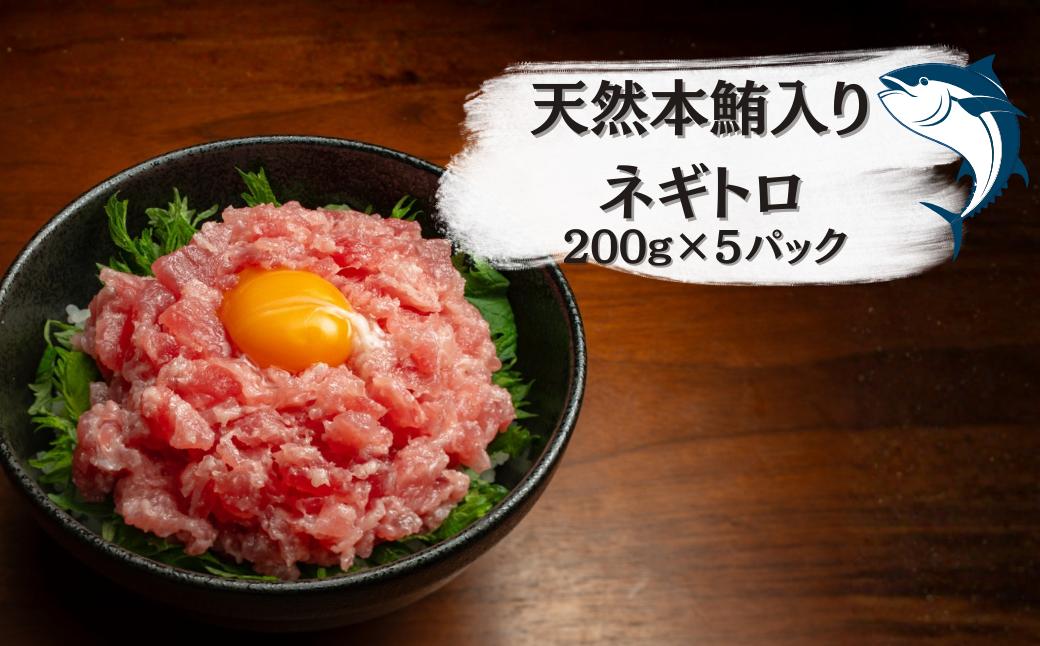 
                  冷凍まぐろたたき（天然本鮪入）200g×5PC
                