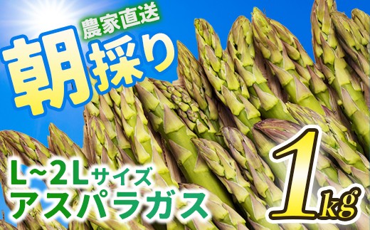 会津産アスパラガス　L～2Lサイズ　1kg　【07208-0837】