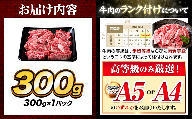 A4〜A5等級 黒毛和牛 切り落とし 上 カルビ 焼肉 切り落とし 300g《7-14日以内に出荷予定(土日祝除く)》くまもと黒毛和牛 熊本県 菊池市 上カルビ 焼肉用 黒毛和牛 焼肉 肉 お肉 和牛