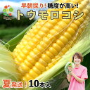 【ふるさと納税】【令和6年産】早朝採りトウモロコシ10本セット　◆配送6月下旬～7月頃 とうもろこし 旬 野菜 先行予約 朝採れ 朝どれ 朝採り 朝もぎ 産地直送 甘い 期間限定 数量限定 10本 冷蔵 夏野菜 お取り寄せ グルメ 淡路島