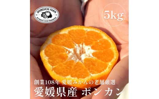 創業百八年 愛媛みかんの老舗＜ポンカン5kg＞家庭用＜新口農園＞＜C70-24＞【1470666】