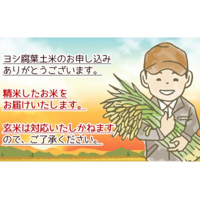 ふるさと納税 石巻市 令和7年産 宮城県産 ヨシ腐葉土米 つや姫 精米4kg |  | 02