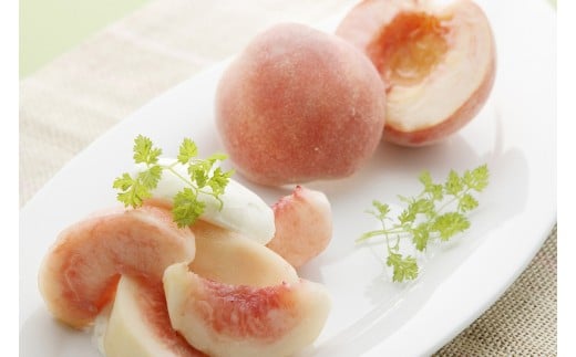 08-05-039　もも：9月の白桃2.5kg、品種おまかせ