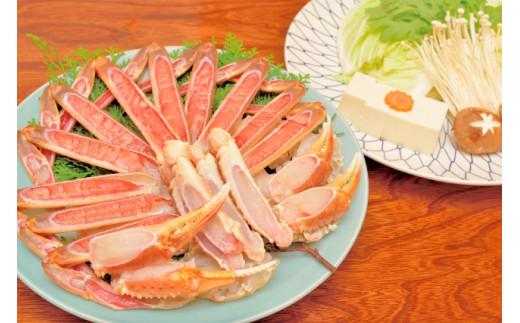 【訳アリ】松葉ガニ（生）2枚（計1.6kg以上）【年内配送】《ずわいがに　かに　カニ　蟹》