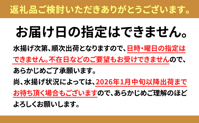 【先行予約】北海道 無添加塩水 ウニ 100g 1パック 11月上旬～12月上旬頃まで順次出荷 バフン ムラサキ うに 雲丹 海鮮 小川商店