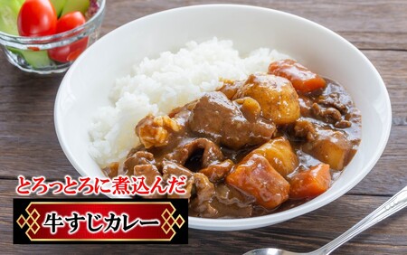 2591R-3_【期間限定 9月30日まで】豊後牛 牛すじ肉 2kg （500g×4P）スジ 牛筋 黒毛和牛 国産 煮込み料理