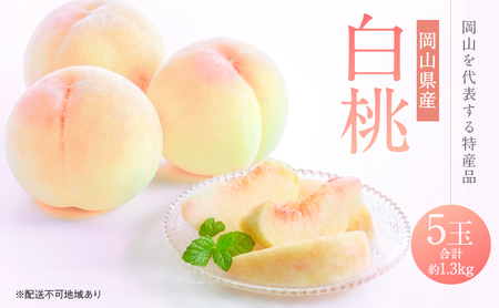 白桃 5玉（合計約1.3kg） 岡山県産 桃 もも 果物 フルーツ 2023年 先行予約