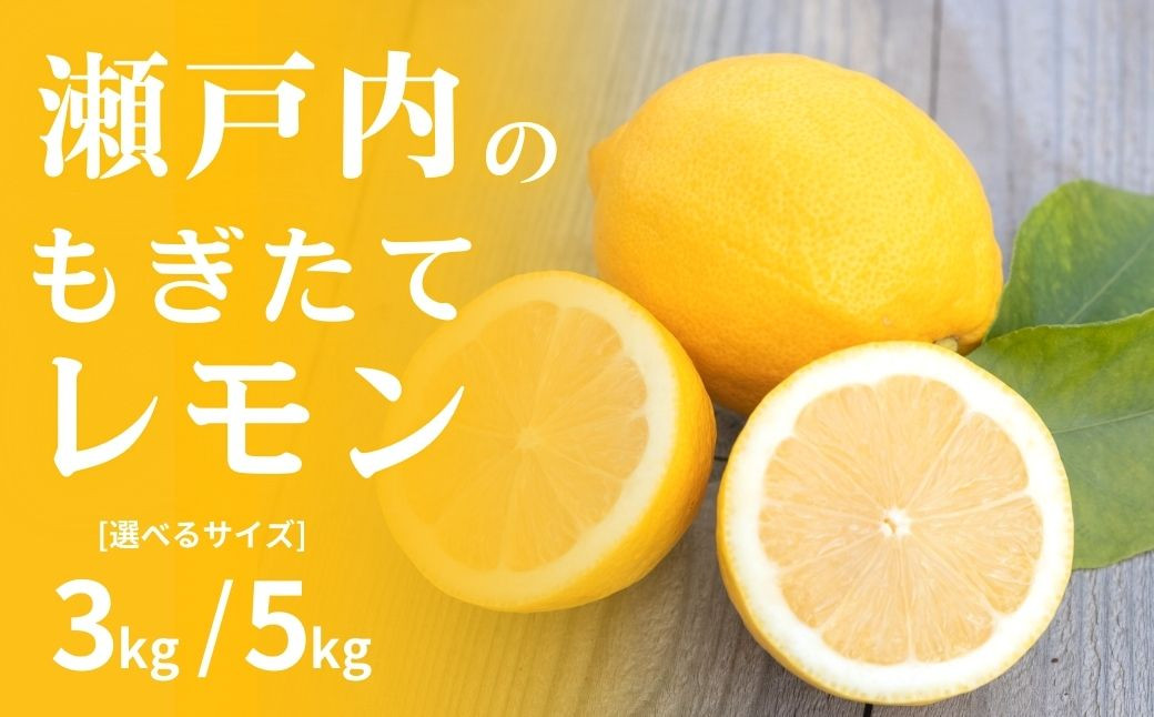 
            [予約] 12~2月発送 もぎたて瀬戸内レモン 3kg/5kg ワックス不使用 防腐剤不使用 国産 瀬戸内 せとうち 広島 大崎上島 れもん 広島レモン
          
