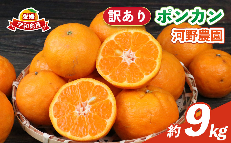 
            訳あり ポンカン 9kg 河野農園 わけあり みかん 蜜柑 mikan 愛媛みかん 愛媛ミカン 愛媛蜜柑 宇和島みかん ぽんかん 甘い 濃厚 人気 品種 果物 くだもの フルーツ おすすめ 訳アリ 訳あり品 柑橘 農家直送 産地直送 数量限定 先行予約 国産 愛媛 宇和島 B010-147005
          