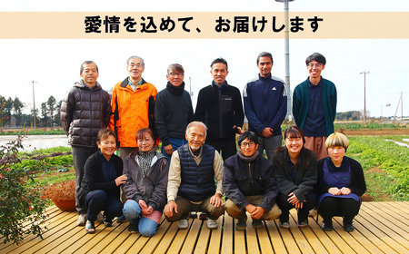 青汁シークワーサー入り 100g×30 パック【6 ヵ月定期便】＜離島・沖縄配送不可＞【 茨城県青汁定期便 つくば市青汁定期便 飲料青汁定期便 ドリン青汁定期便ク あおじる青汁定期便 健康 無添加 有