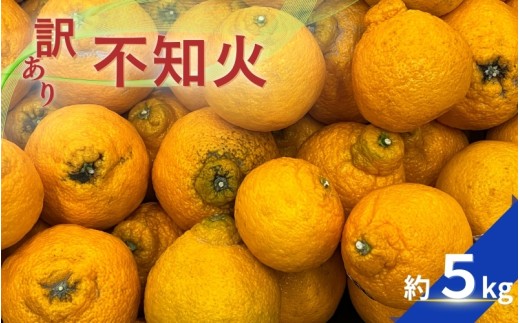 【訳あり】不知火 約5kg 【2026年2月中旬～4月中旬ごろ順次発送予定（お届け日指定不可）】 不知火 みかん ミカン 柑橘 フルーツ 果物 くだもの 人気 旬 産地直送【CE-nuk120D】