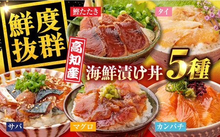 高知の魚5種類が味わえる海鮮漬け丼セット(タイ マグロ カンパチ 鰹たたき サバ )海鮮丼 冷凍 海鮮丼 海鮮丼 海鮮丼 【株式会社 七和】 [ATAX007]