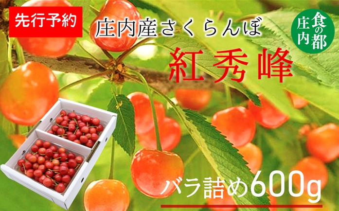 ★先行予約★【令和8年産】食の都庄内　庄内産さくらんぼ「紅秀峰」600gバラ詰め　※令和8年6月下旬～7月上旬頃発送予定 [HS4-257(庄内旬青果)]