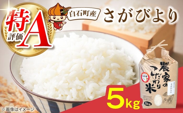 
                  【令和7年産】佐賀県産 米 さがびより5kg 【直売所にじ】　米 5kg コメ お米 おこめ こめ ライス 白米 ご飯 ごはん 特A 特A評価 佐賀県産 R7米 R7 7年産 令和7年産米 kome 2025 国産 ブランド米 おにぎり さがびより 九州 佐賀県 白石町 白石 令和8年発送 [IDO001]
                