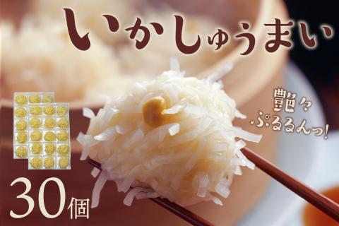 艶々ぷるるんっ！いかしゅうまい　30個【001-0081】