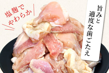 奥三河どり使用！ 田口塩鶏 味付け むね肉 1.2kg 塩ダレ ムネ肉 味付け肉 鶏肉 鶏 肉 キャンプ バーベキュー 味付け肉 大容量 手軽 焼くだけ 地鶏 焼肉 焼き鳥 -178