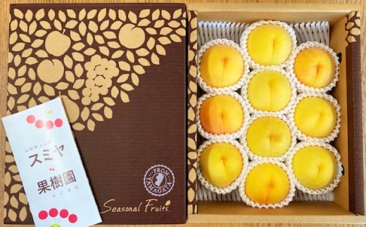 桃（黄金桃）２.５ｋｇ　特秀品　0047-2606