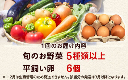 【全6回定期便】 米ぬかで育てた！旬のお野菜＆平飼い卵セット ベジ彩ファーム[AOEJ006] 野菜