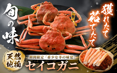 先行予約【冷蔵】旬のセイコガニ 大 3杯  計550g以上（茹で前）説明書付き 【2026年11月上旬以降順次発送予定】ズワイガニ メス [m21-x004_11]