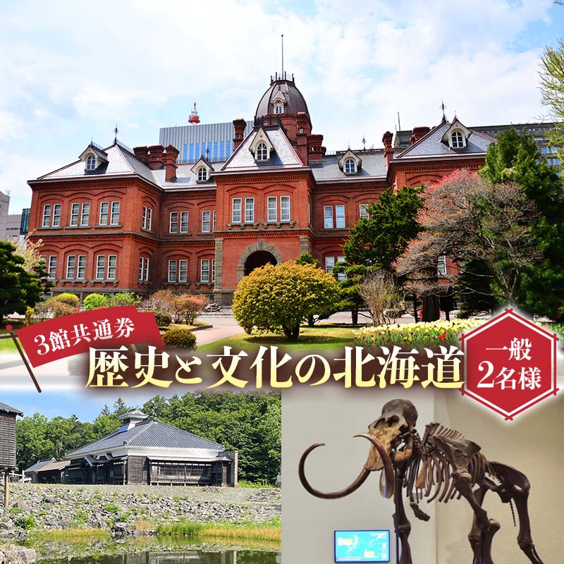 歴史と文化の北海道3館共通券 一般2名様分 人気 おすすめ 利用券 チケット F6S-520