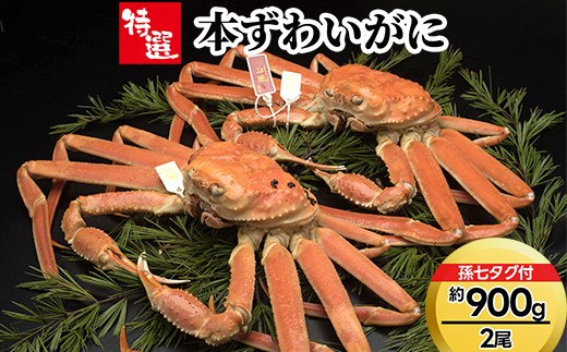 
                  【特選】本ずわいがに約900g×2尾（孫七タグ付き） ずわい蟹 ずわいガニ ズワイガニ 本ズワイガニ 本ずわいがに カニ 蟹 かに かにしゃぶ カニしゃぶ 蟹しゃぶ かに鍋 カニ鍋 蟹鍋 かに味噌 カニ味噌 かにみそ 魚貝類 魚介類 ボイル 国産 富山 富山湾 北陸 富山カニ 北陸カニ 富山かに 北陸かに 富山蟹 北陸蟹 ※2026年11月～発送
                