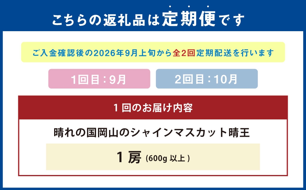 晴れの国岡山シャインマスカット晴王各回1房約600g以上化粧箱入り