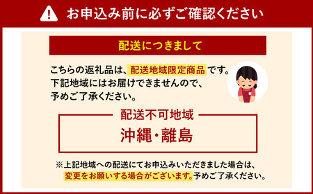 【訳あり】りんご(サンふじ・〇秀) 10kg 山形県産 フルーツ 果物 林檎 リンゴ 【2025年11月下旬-12月上旬発送予定】