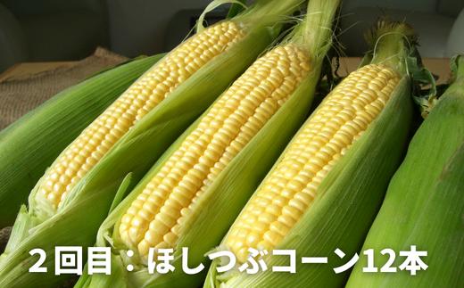 【令和７年産予約受付！】黒木農場　野菜の定期便（３回便）[040-12]