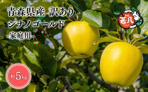 ６月発送　訳あり　家庭用　甚八りんごシナノゴールド5kg【青森県 平川市 マルジンサンアップル】６月発送 青森 青森県産 平川 りんご リンゴ 林檎 くだもの 果物 フルーツ 