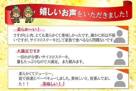 佐賀牛 ヒレ不揃いサイコロステーキ 600g【佐賀牛 牛肉 サイコロステーキ ヒレ肉 不揃い ステーキ肉 サシ カレー 角切り 訳あり ブランド肉 BBQ バーベキュー】 C-F030017