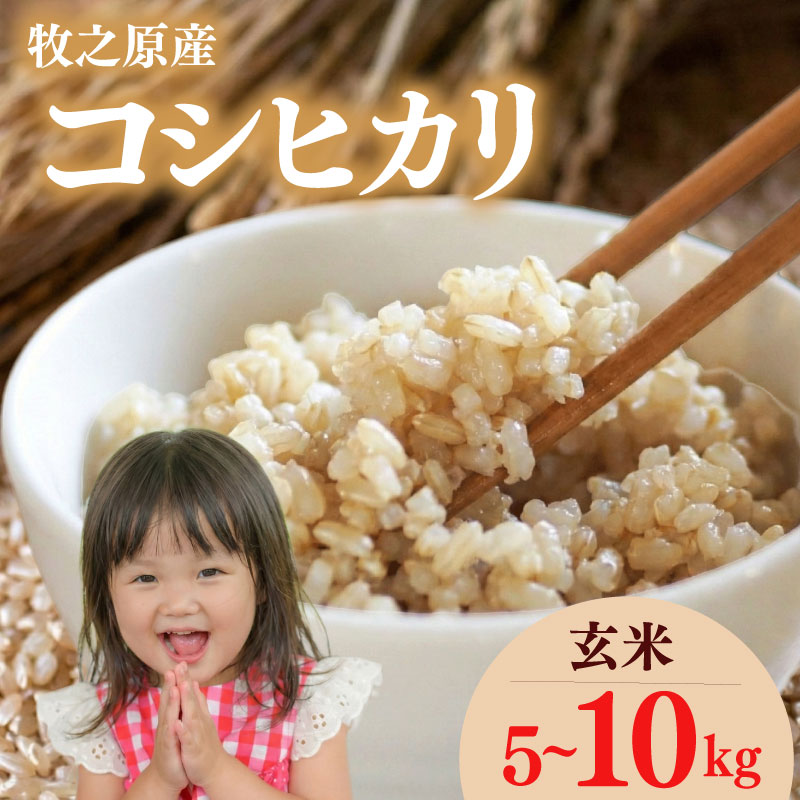 【ふるさと納税】 コシヒカリ 玄米 5~ 10kgこしひかり お米 米 人気 新米 令和7年度産 2025年度 2025年産 ごはん ご飯 ゴハン おいしい 美味しい こめ コメ おこめ おすすめ おにぎり 食品 家庭用 もちもち 甘い 国産 産地直送 5kg 牧之原産 タイラファーム 静岡県 牧之原市